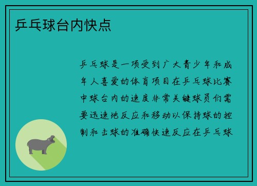 乒乓球台内快点