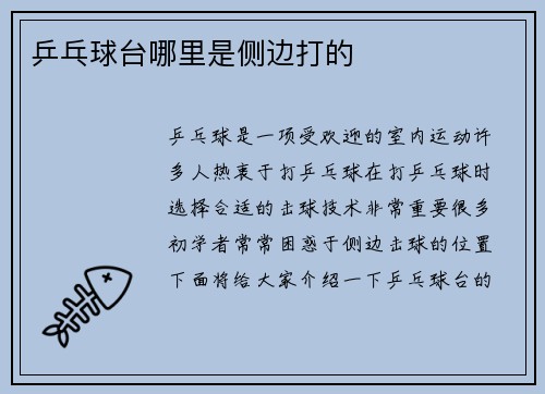 乒乓球台哪里是侧边打的