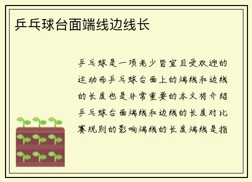 乒乓球台面端线边线长