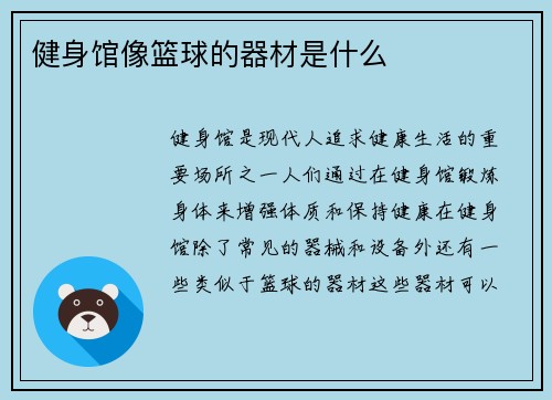 健身馆像篮球的器材是什么